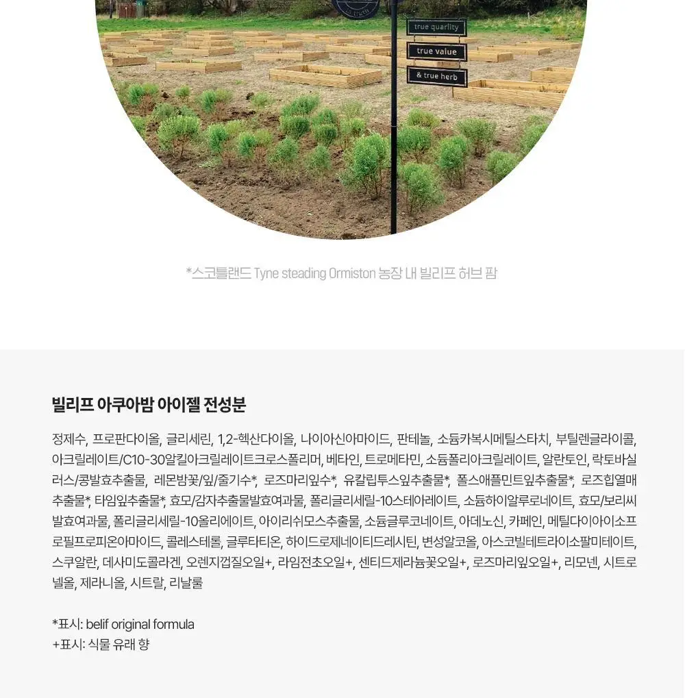 [눈가탄력UP] 빌리프 아쿠아 밤 아이젤 15ml 상세페이지 21